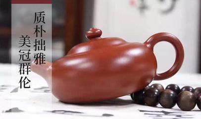 到底什么是紫砂?为什么如此受欢迎?